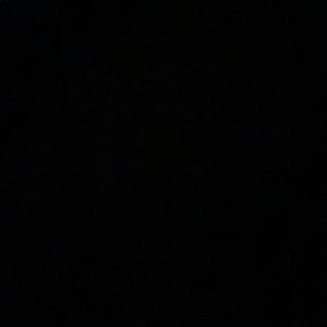 Meet your Posher, Isabel